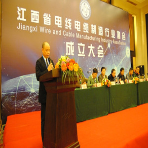 熱烈祝賀李光榮董事長當選江西省電線電纜制造行業協會首任會長